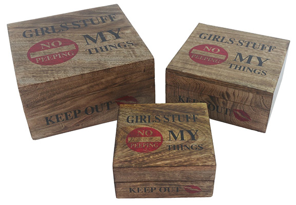 Set Of 3 Mango Wood Girls Stuff Boxes - Click Image to Close